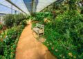 Biophilic Design: Bridging Nature and Home