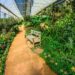 Biophilic Design: Bridging Nature and Home
